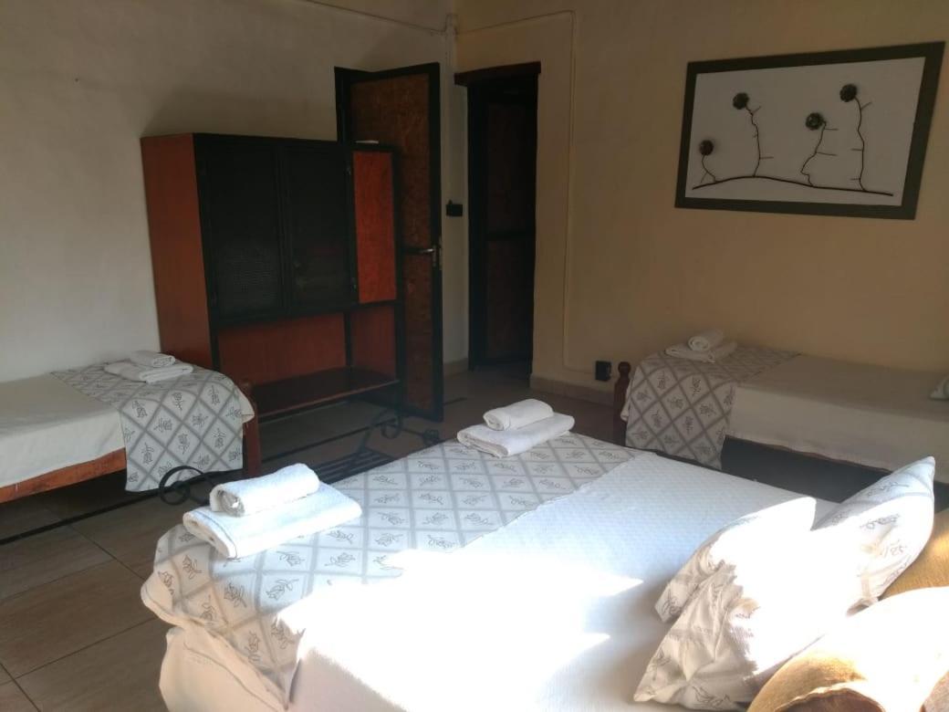 Nuevas Cabanas Del Sol San Lorenzo  Kültér fotó